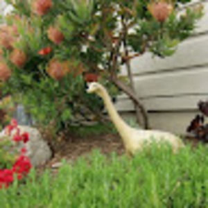 Meet your Posher, Anne